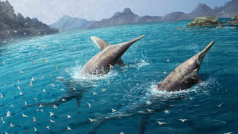 Historic fossils result in discovery of largest recognized marine reptile