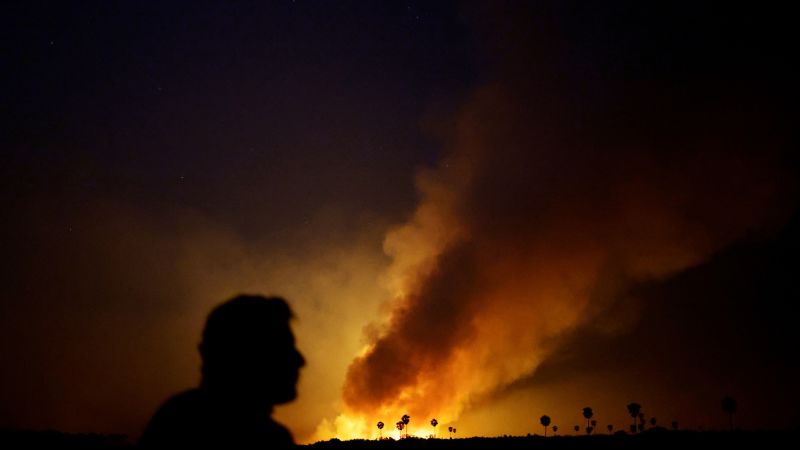 Fires in Brazil’s Pantanal wetland break June document