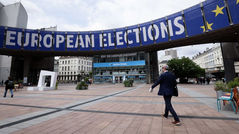 Far proper surges in European Parliament elections however heart nonetheless holds