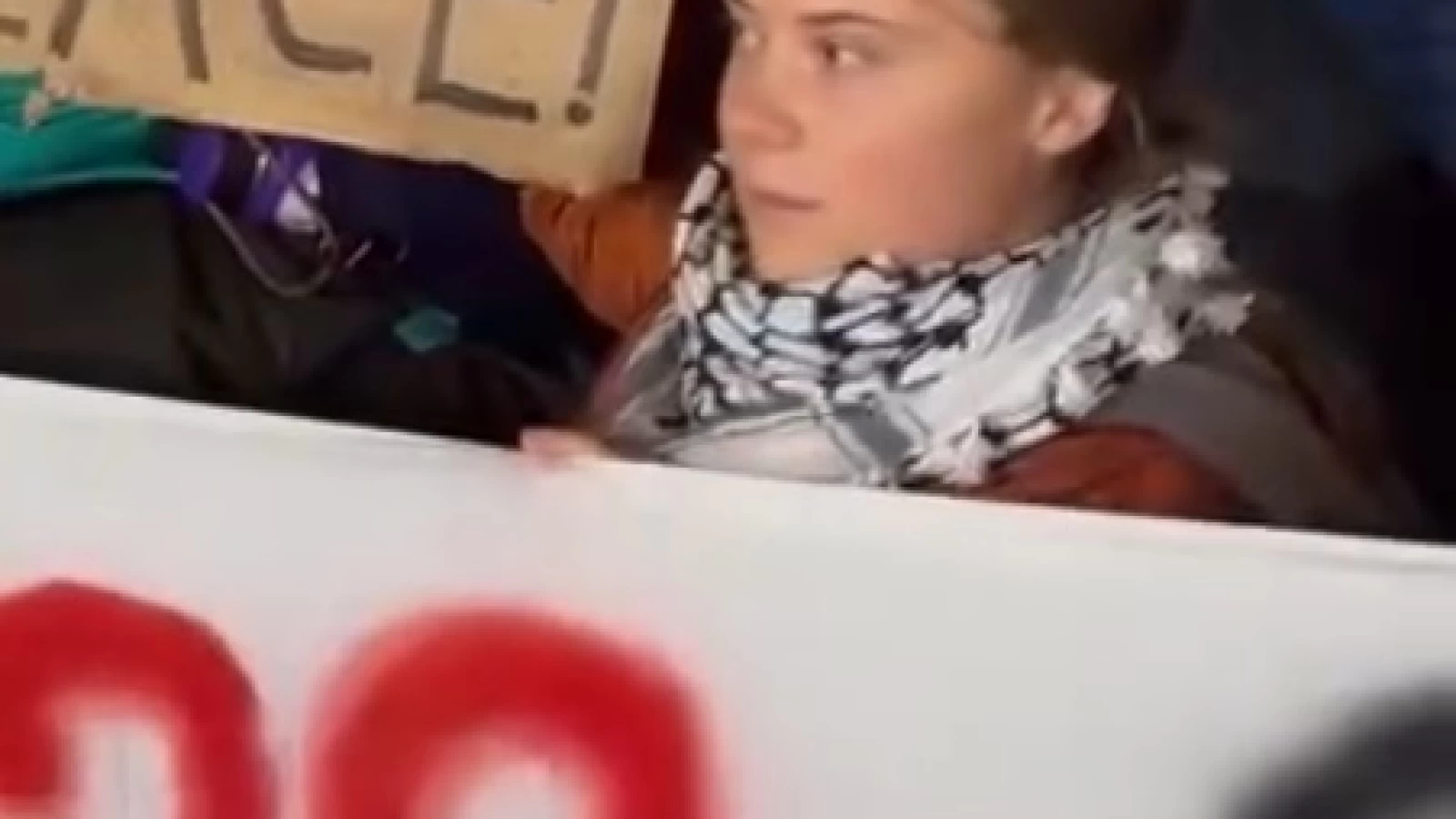 Greta Thunberg Phases Anti-COP Protest in Tbilisi