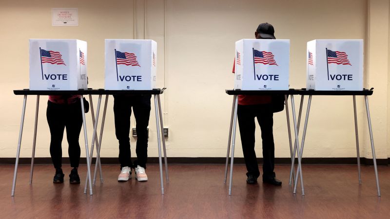 Mishaps in Michigan spur unfold of deceptive election claims